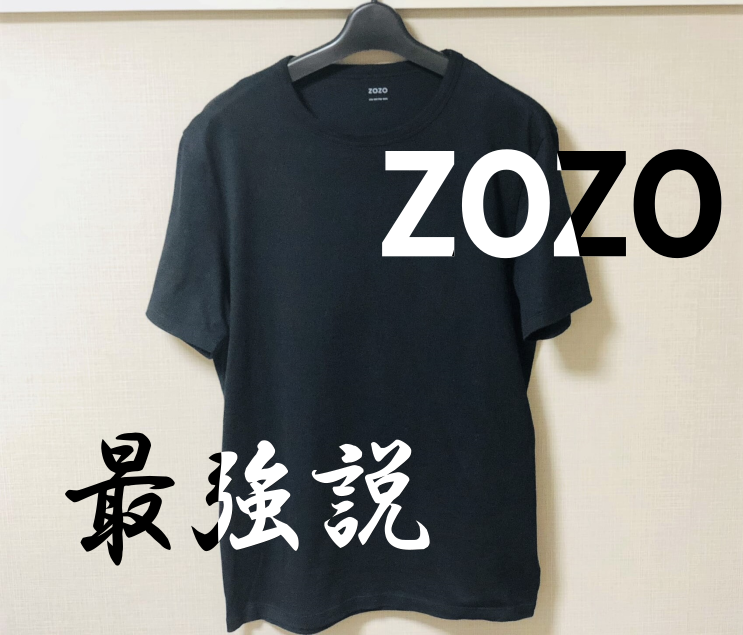 zozoのオーダーTシャツが神!!給料のほとんどを服に使う私が本気でレビューしてみた。無地Tシャツ最強が決定